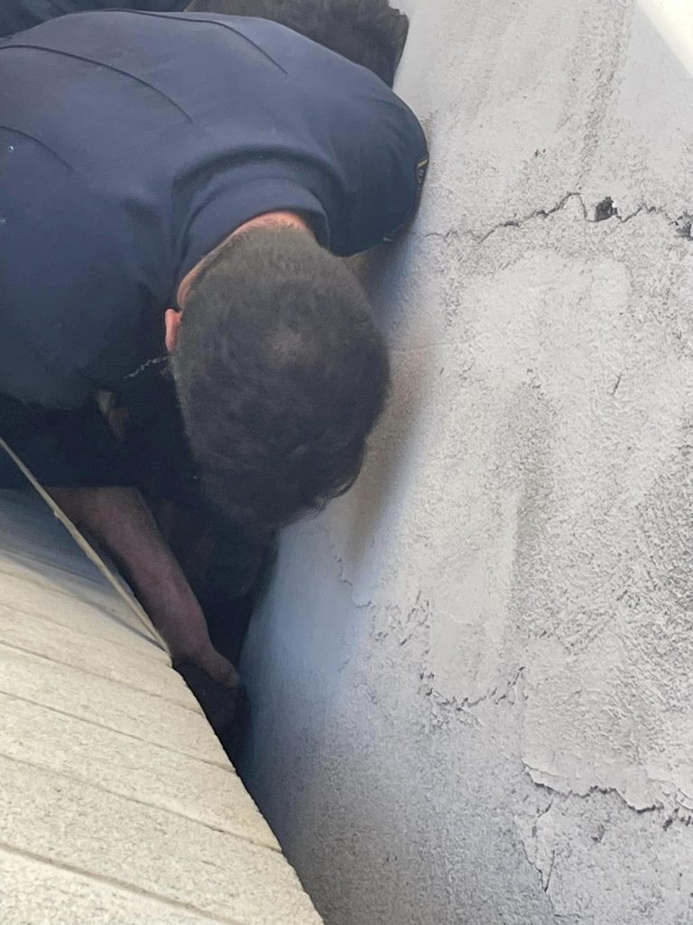 Dog removed from narrow opening between two buildings (LAFD photo)