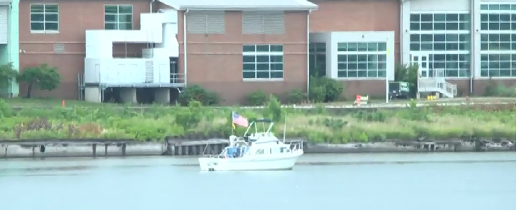 7 dogs abandoned on boat