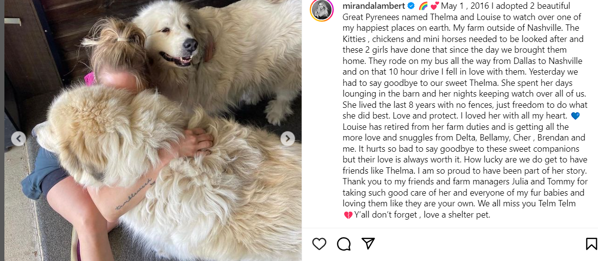 Miranda Lambert's touching goodbye to beloved rescue dog, Thelma