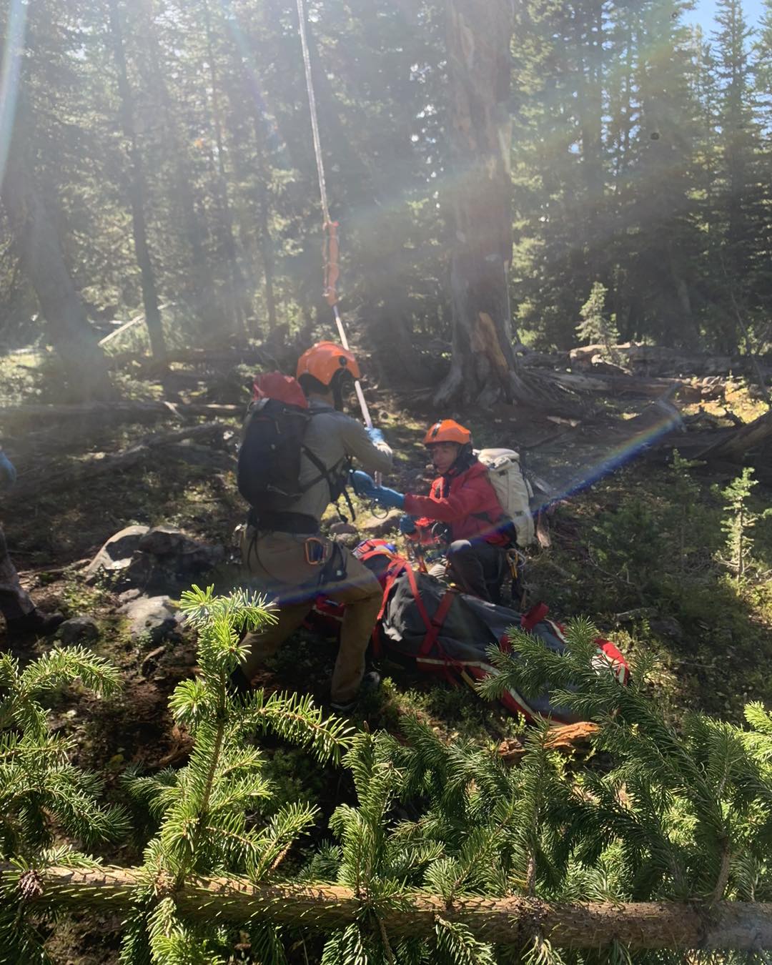 Hunter mauled by a grizzly bear