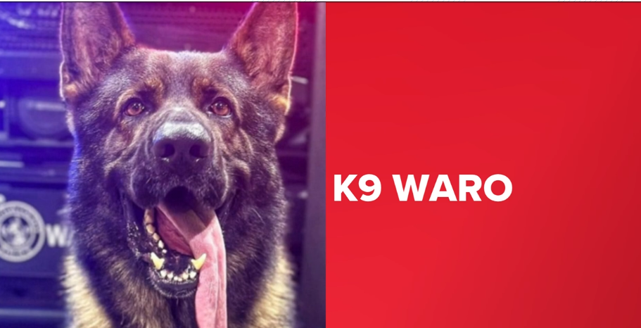 K9 Waro