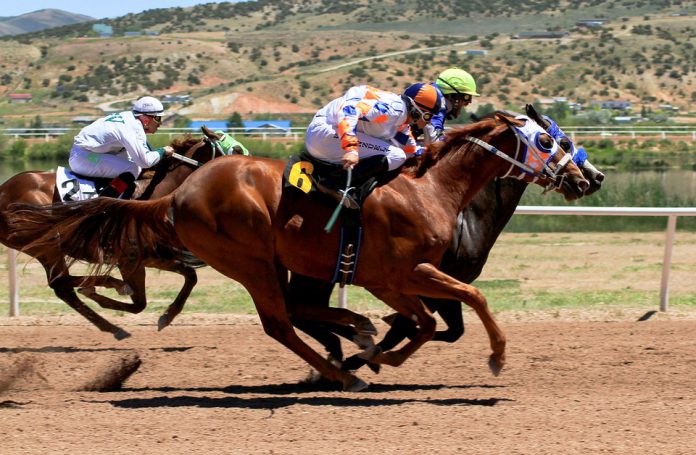 Stock image of racehorses. Racehorse deaths prompts protests.