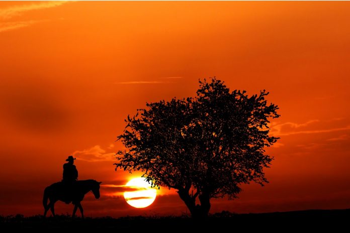 Stock image of cowboy on horse