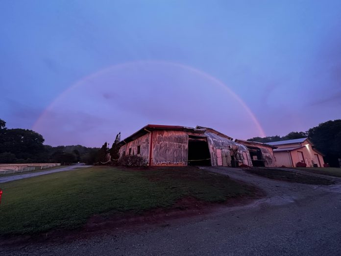 26 horses killed in devastating barn fire