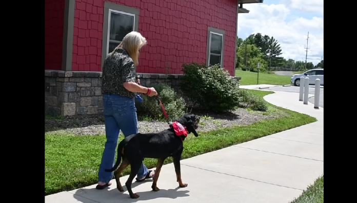 Shelter staff overcome with joy for dog who was with them for 638 days