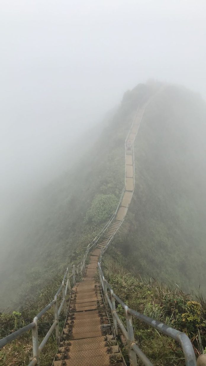 Dog fell from Stairway to Heaven trail