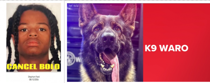 Teen accused of fatally shooting police K9